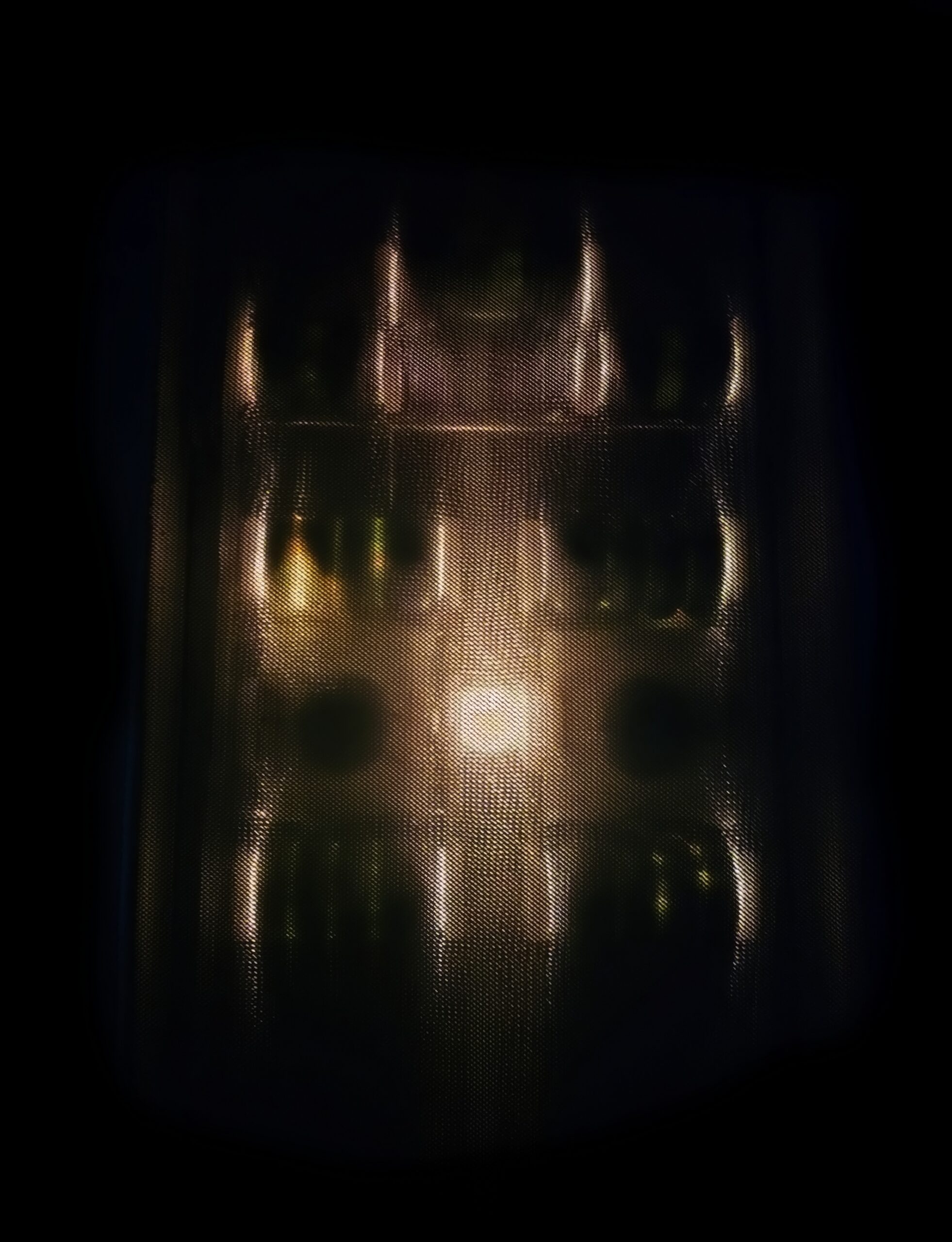 20250719_161703 (cropped enhanced)