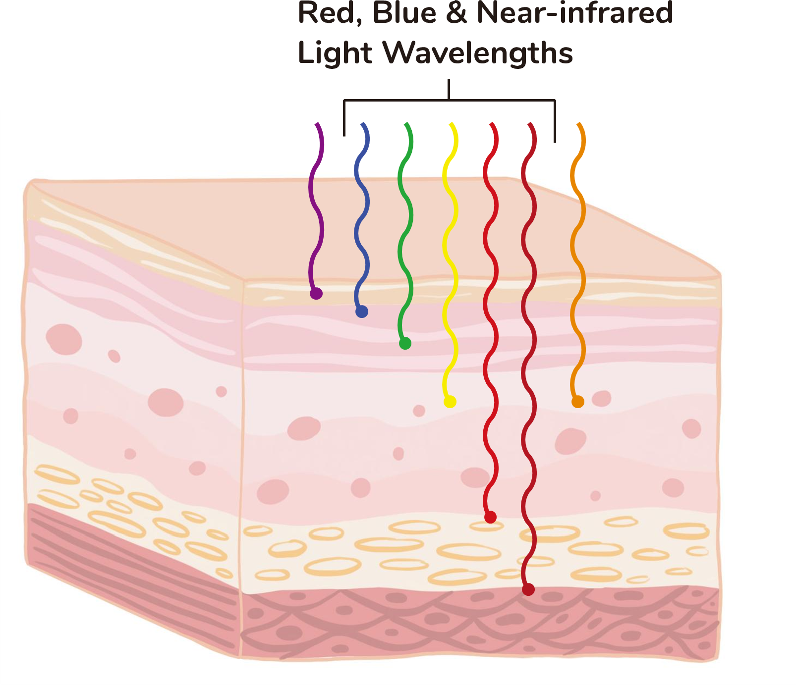 Light Wavelengths