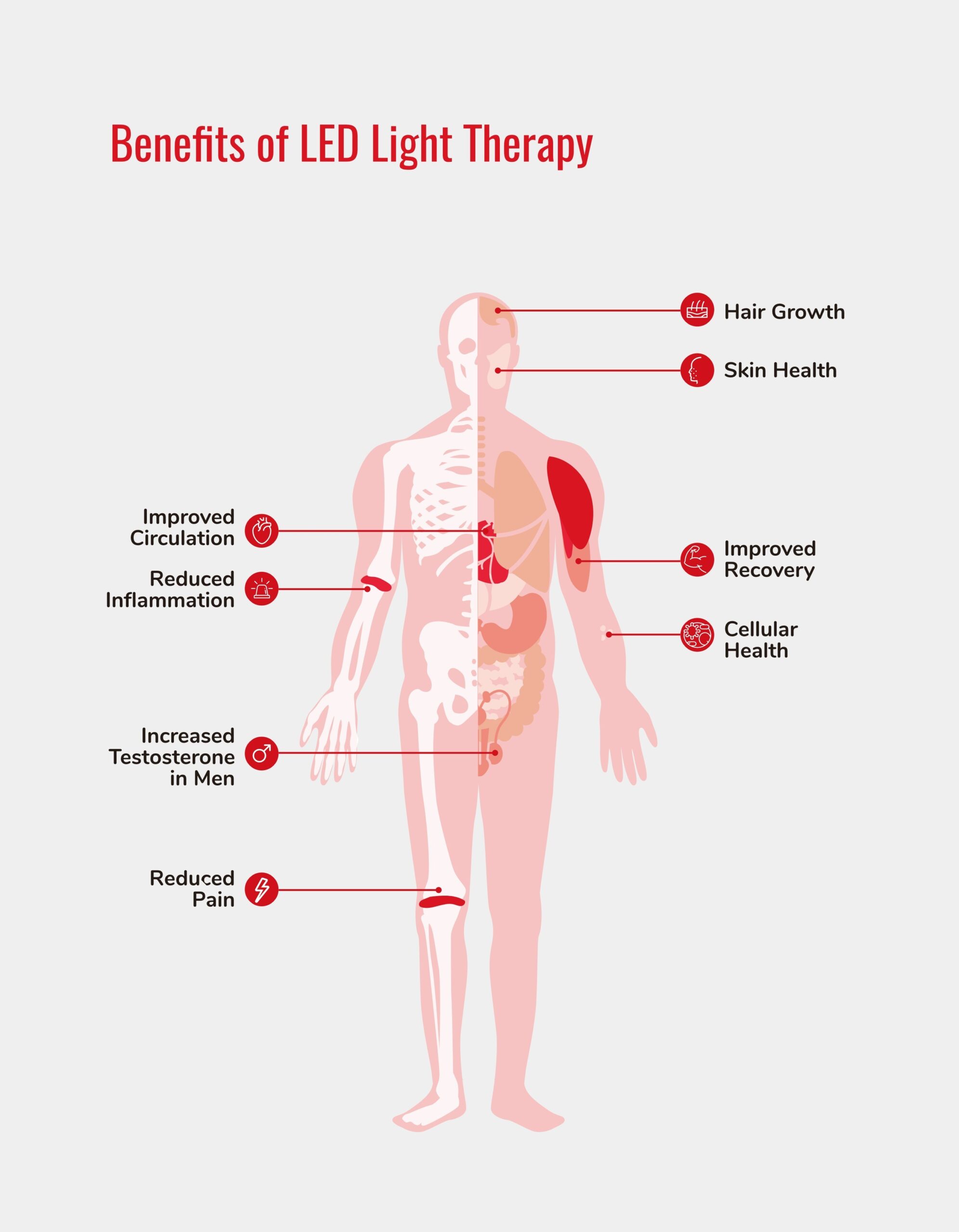 Redlight Body Diagram